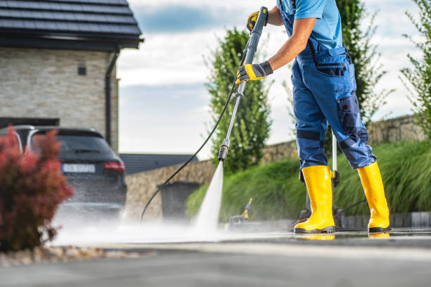 Animal Enclosure Cleaning in Montebello, NY